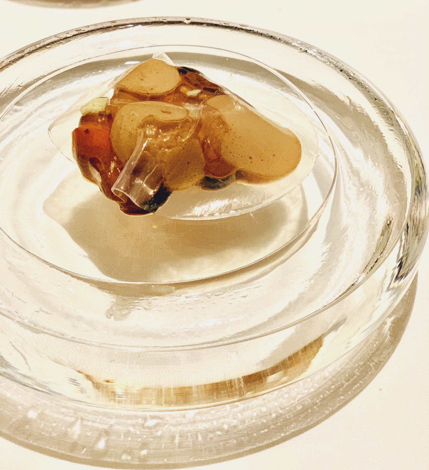 a clear dish with a few vegetables arranged on top covered in a thick clear gelatinous sheet