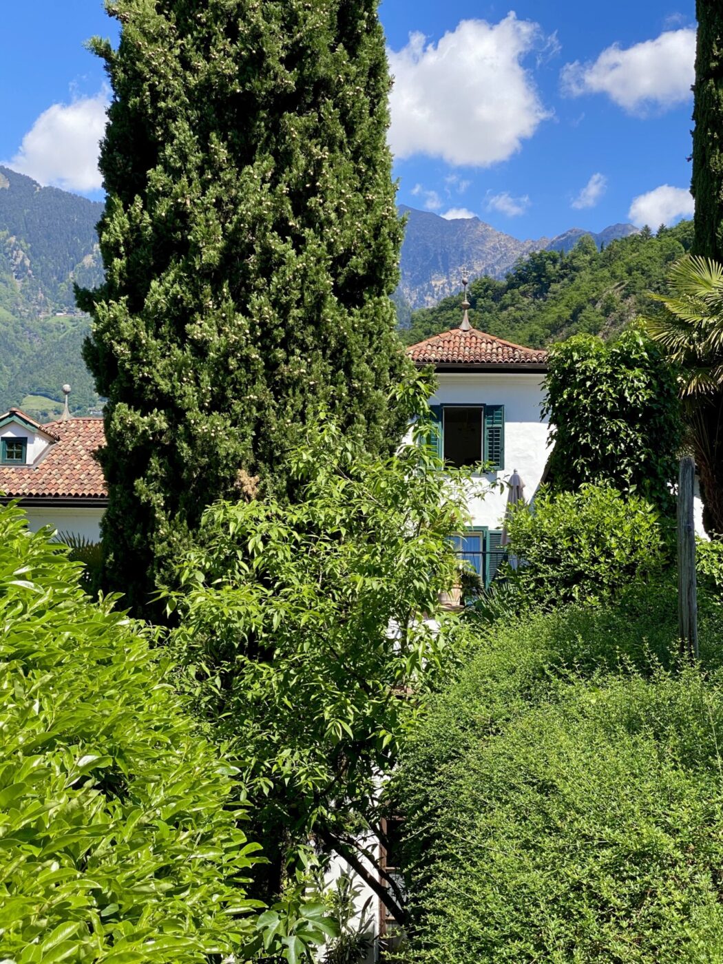 Ottmanngut in South Tyrol with bright green trees in front of the white house