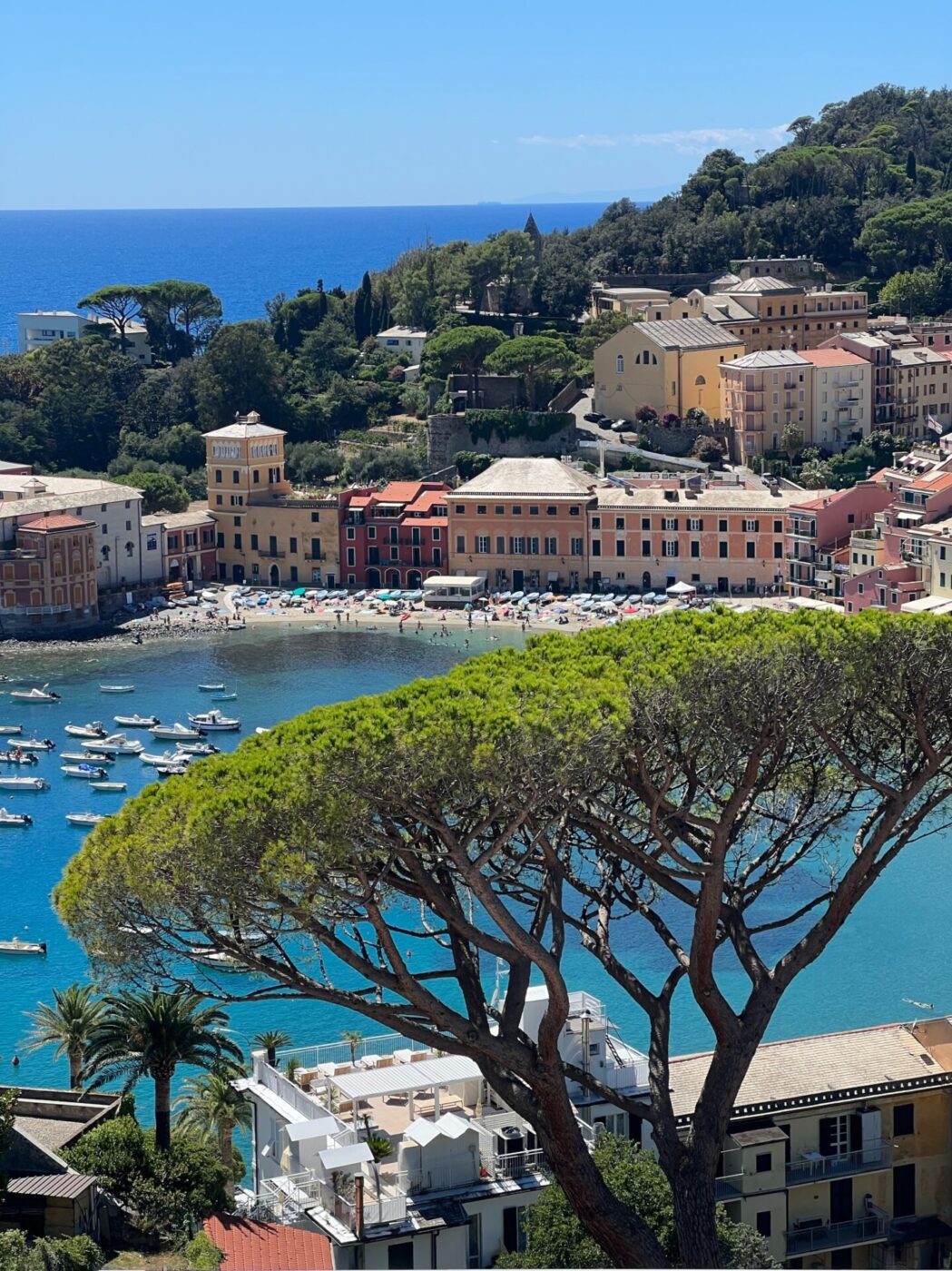the cove in the town of Sestri Levante with multi colored houses and clear blue water