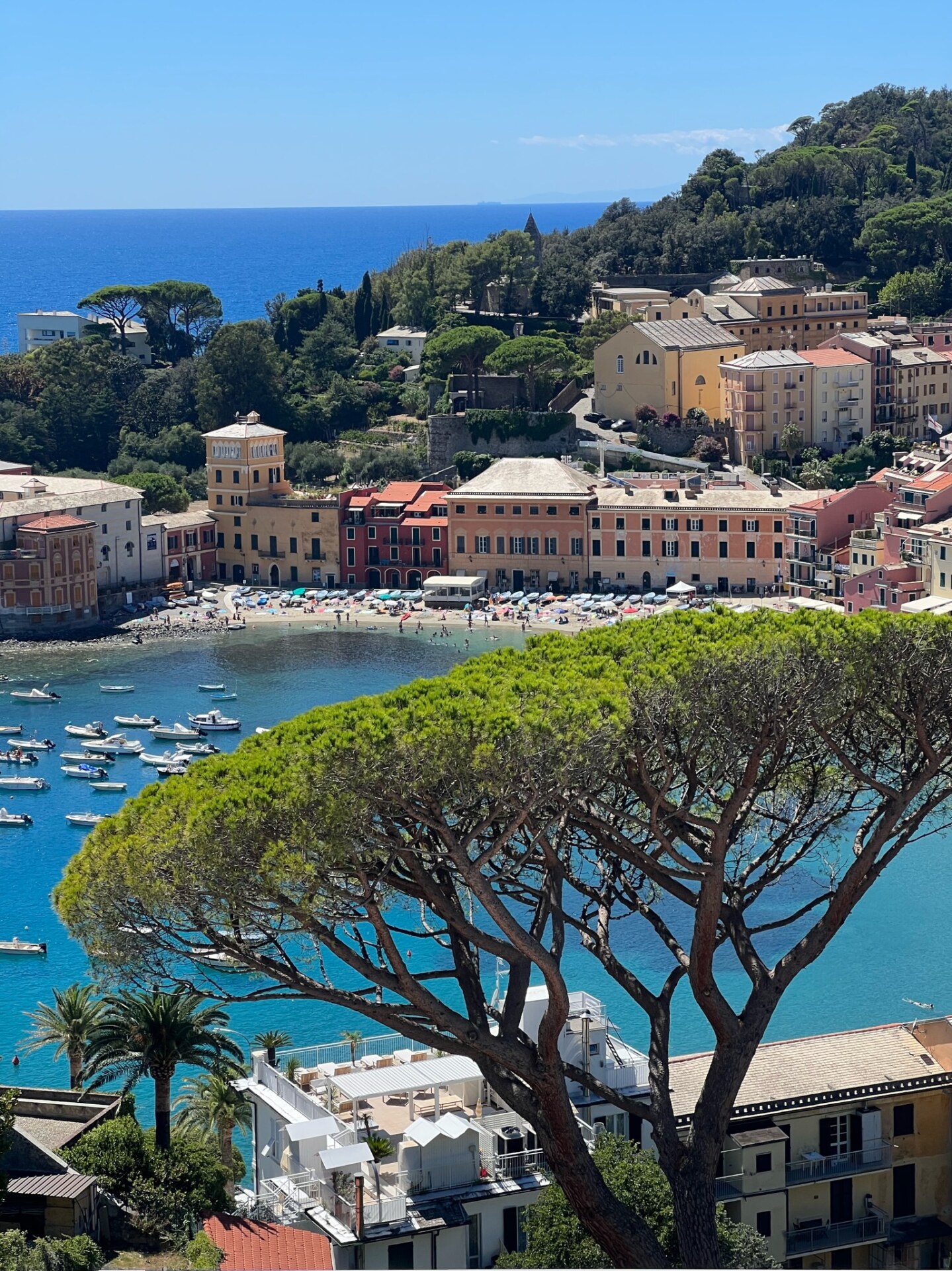 the cove in the town of Sestri Levante with multi colored houses and clear blue water