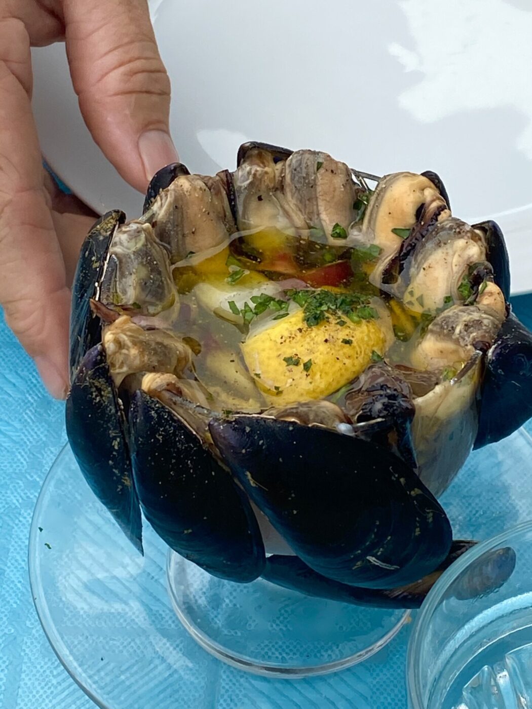 pinzimonio di cozze (mussels arranged on the edge of a glass dangling in a lemon gremolata)