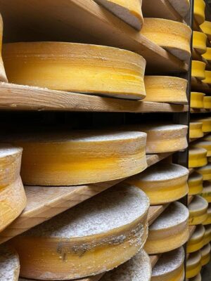 rows of thin rounds of cheese aging on wooden shelves courtesy of BÙ Cheese Bar