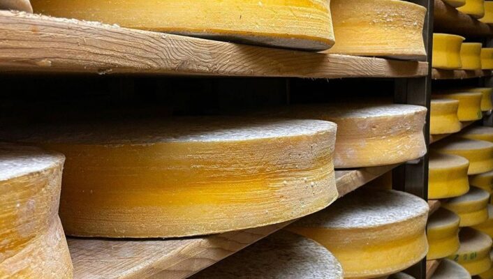 rows of thin rounds of cheese aging on wooden shelves courtesy of BÙ Cheese Bar