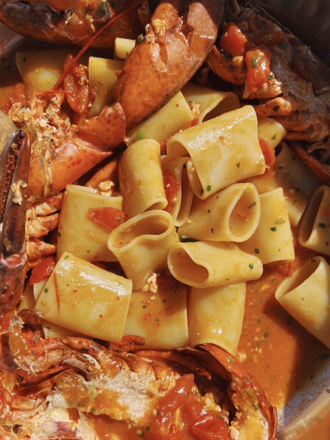 a dish of paccheri with a tomato-lobster sauce