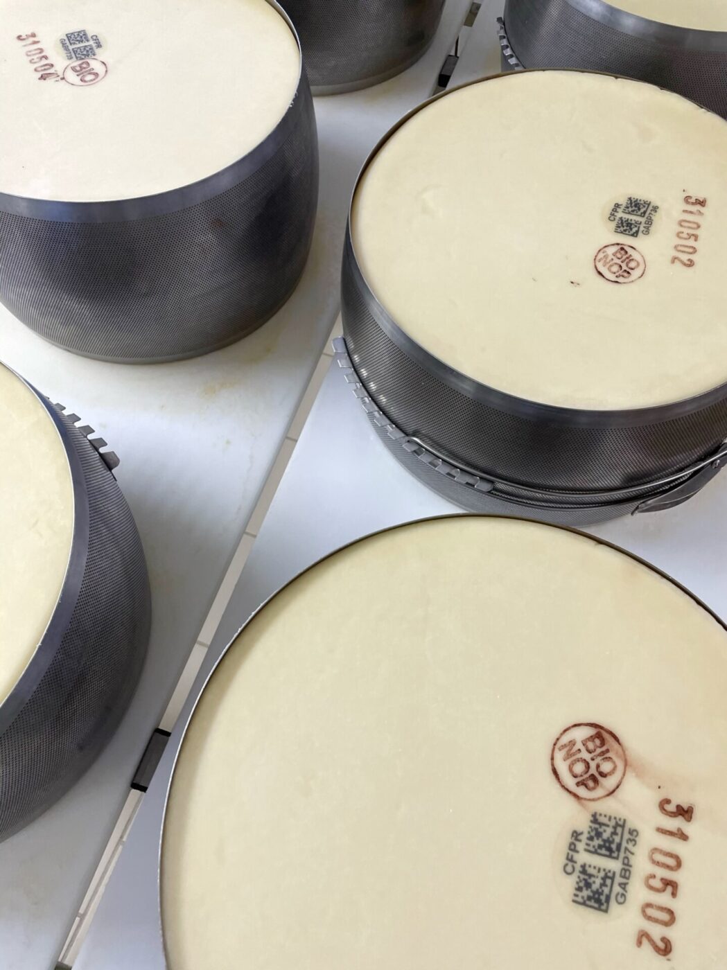 wheels of parmesan before they age