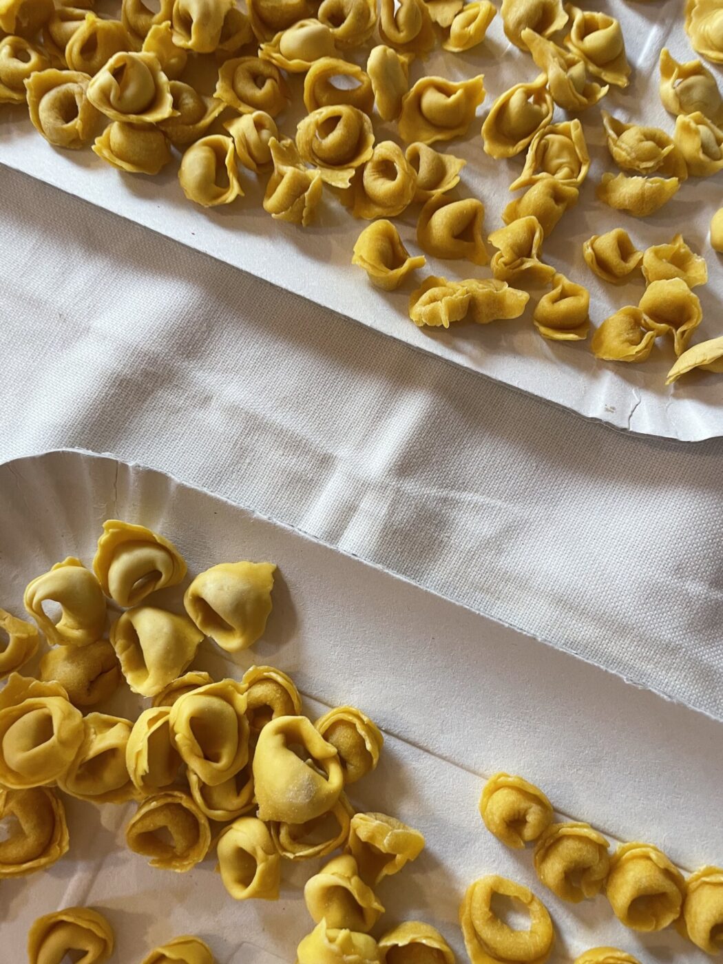 fresh handmade raw tortellini