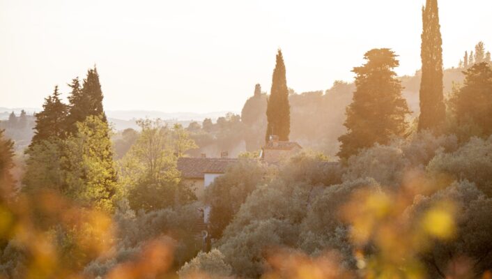 an image of the sun-soaked Italian hillside at golden hour and the brightness of the sun is blurring the camera lens