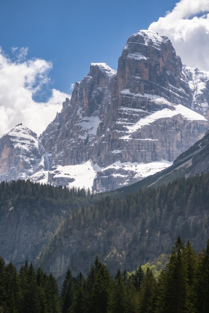 an image of a snowy peak in the dolomites surrounded by pine trees