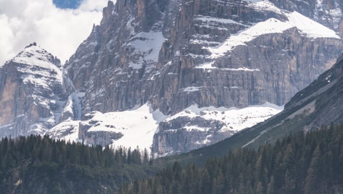 an image of a snowy peak in the dolomites surrounded by pine trees