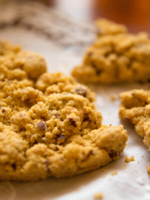 an image of a crumbly cake called sbrisolona from Veneto