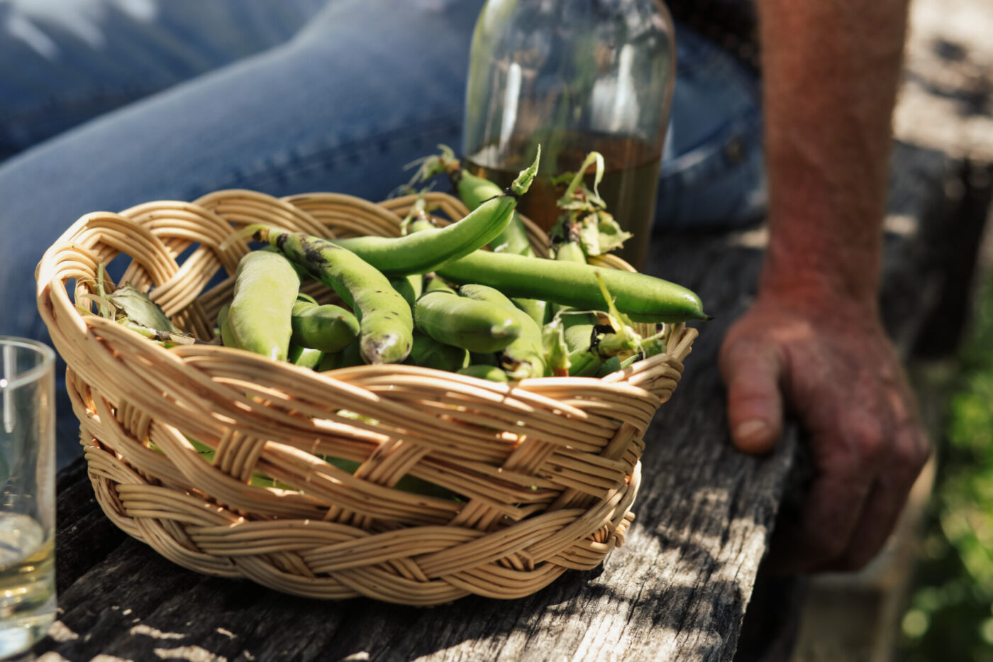 a basket filled with fava beans on a wooden bench next to a gardener