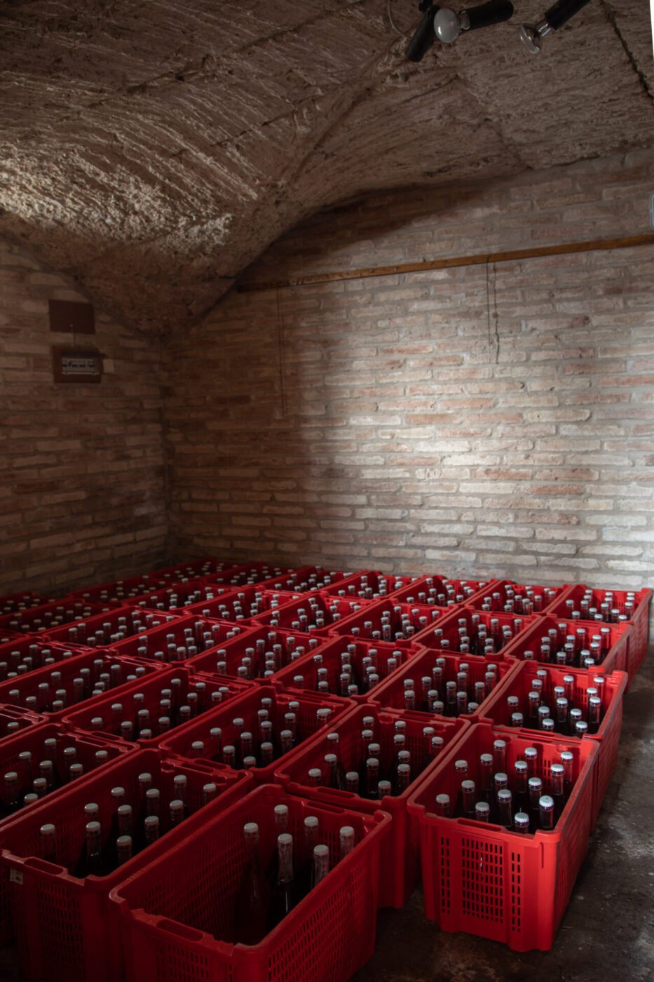 cases of bright red wine in their cellar at VUM