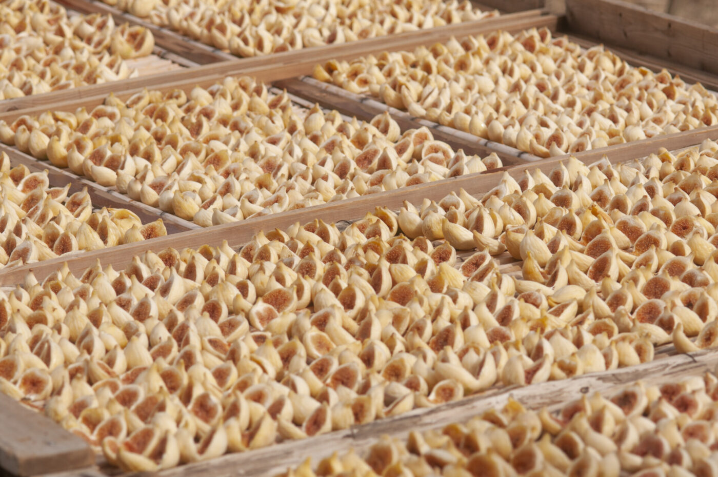 figs arranged on sheets to dry
