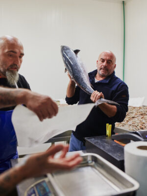 a man lifting a giant fish to place on a scale at the milan fish market