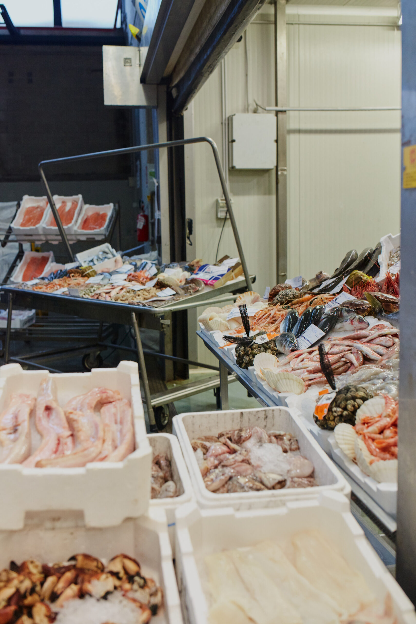 a close up look at the stands of the milan fish market