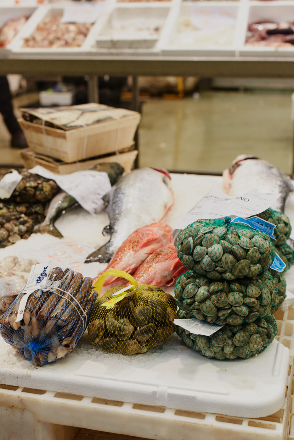 a close up of a stand with fresh fish and shellfish at the milan fish market