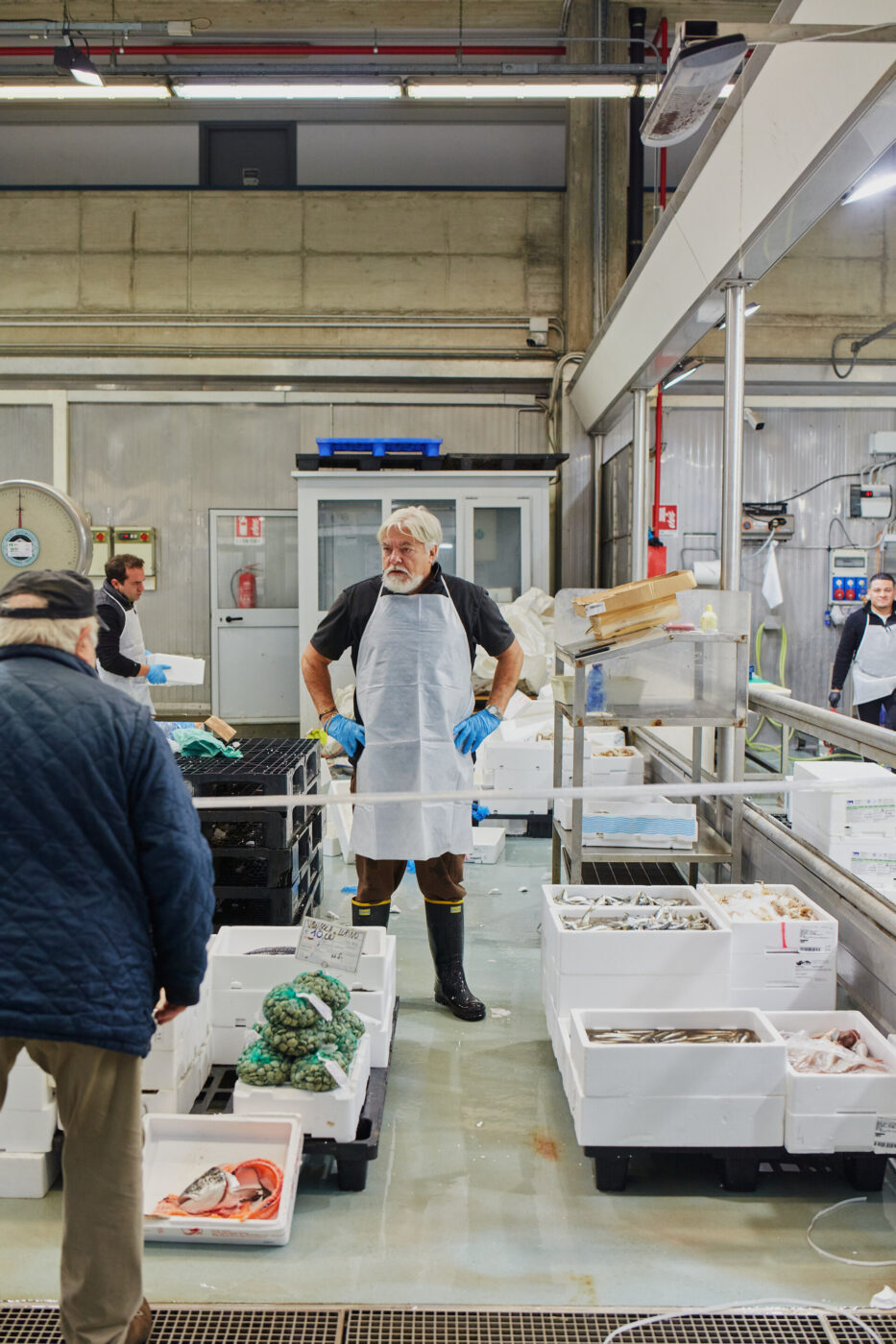 a fishmonger standing amidst his fish at the milan fish market