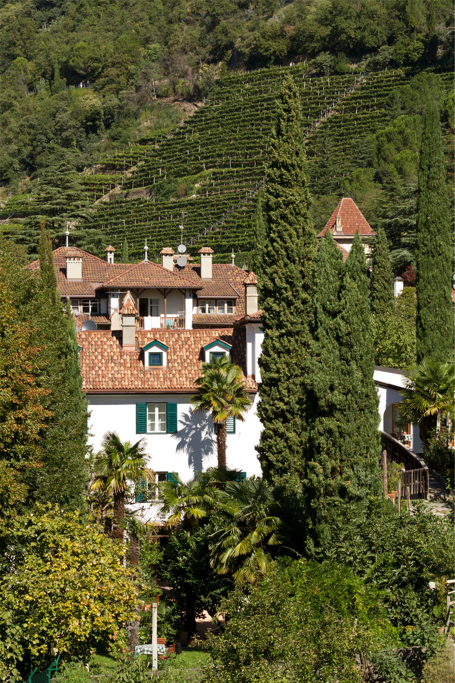 an image of the white ottmangut house in the green trees of Merano