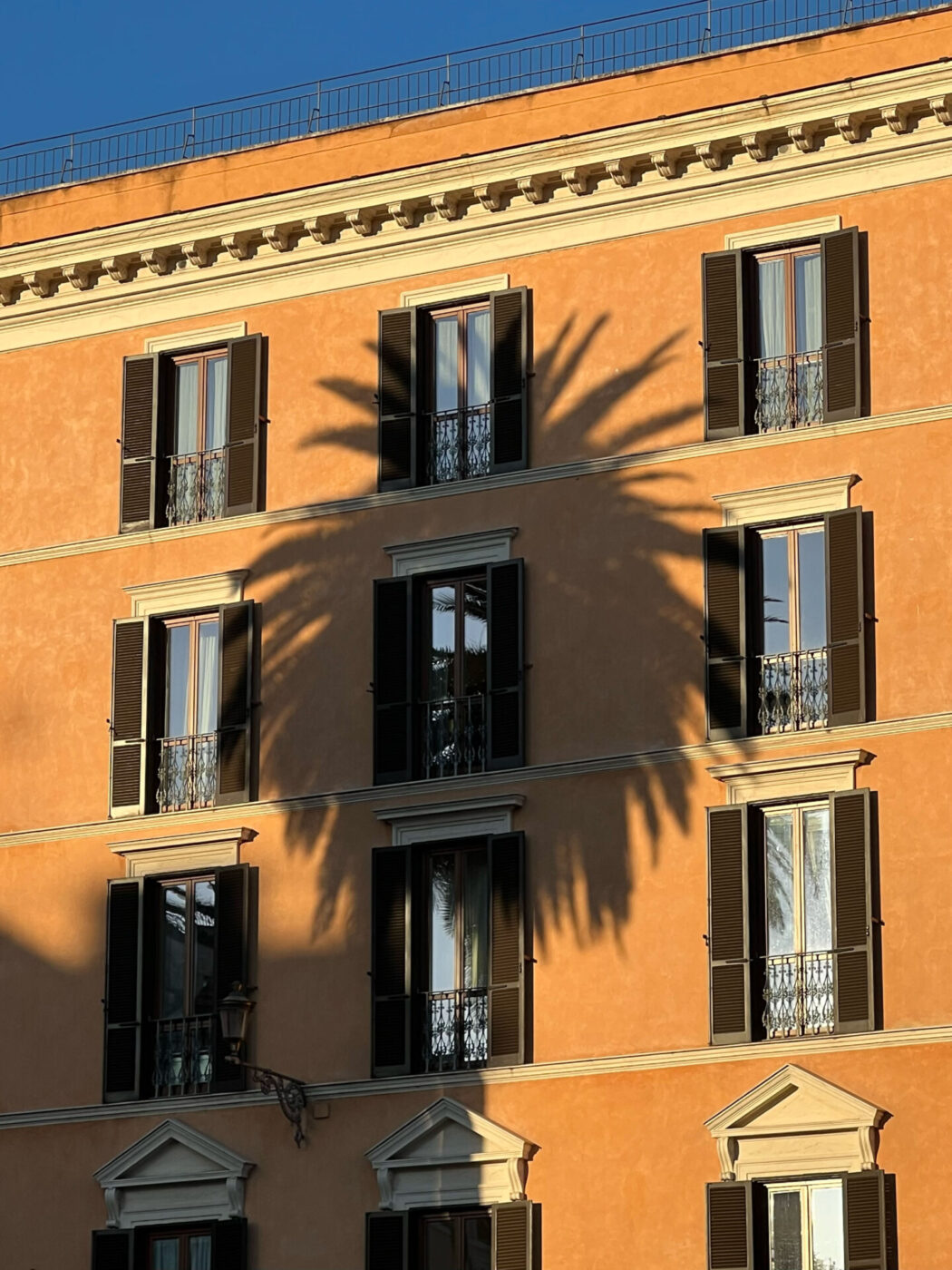 a shadow of a palm tree on the orange wall of the piazza di spagna in Rome