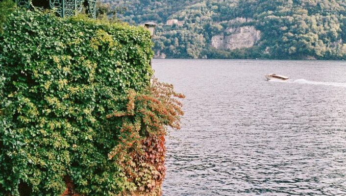 A beautiful view of lake como with a jut out and ivy growing