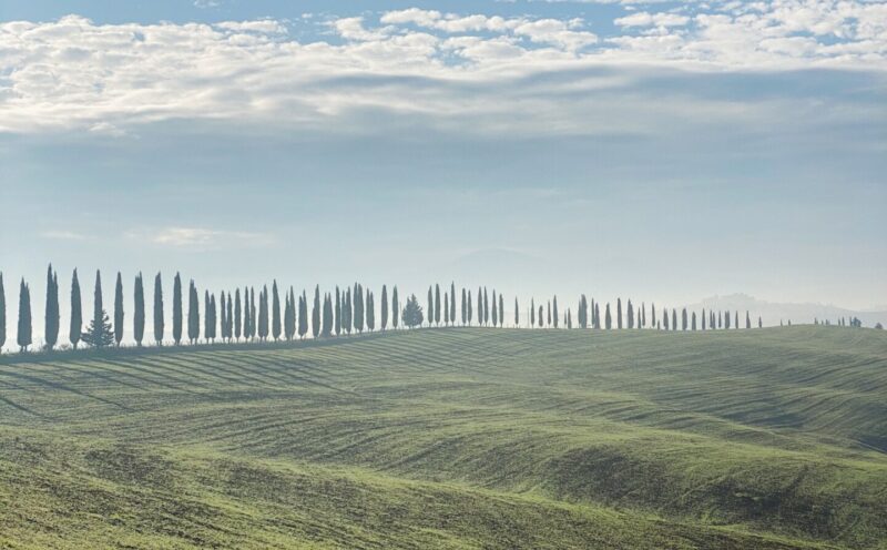 an image of a ridge lined with cypress trees along the Via Francigena