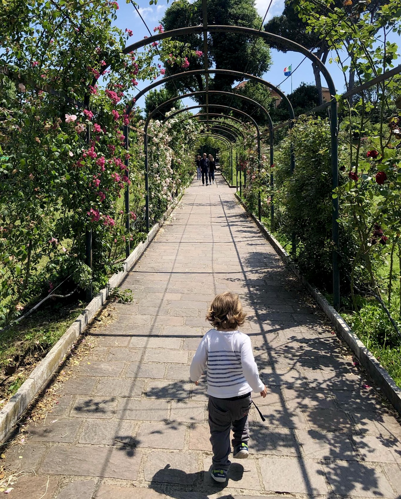 an image of a young child running under the arches of the rose garden in Rome