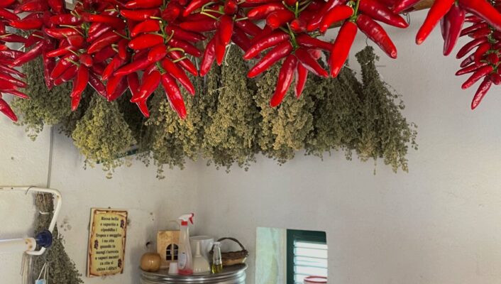 hanging dried oregano and calabrian chilis in a small market with other produce