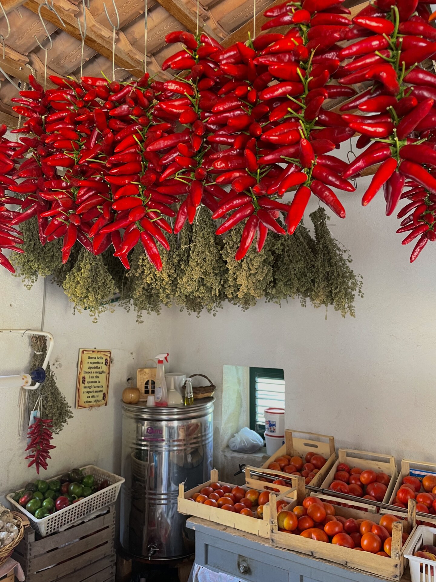 hanging dried oregano and calabrian chilis in a small market with other produce