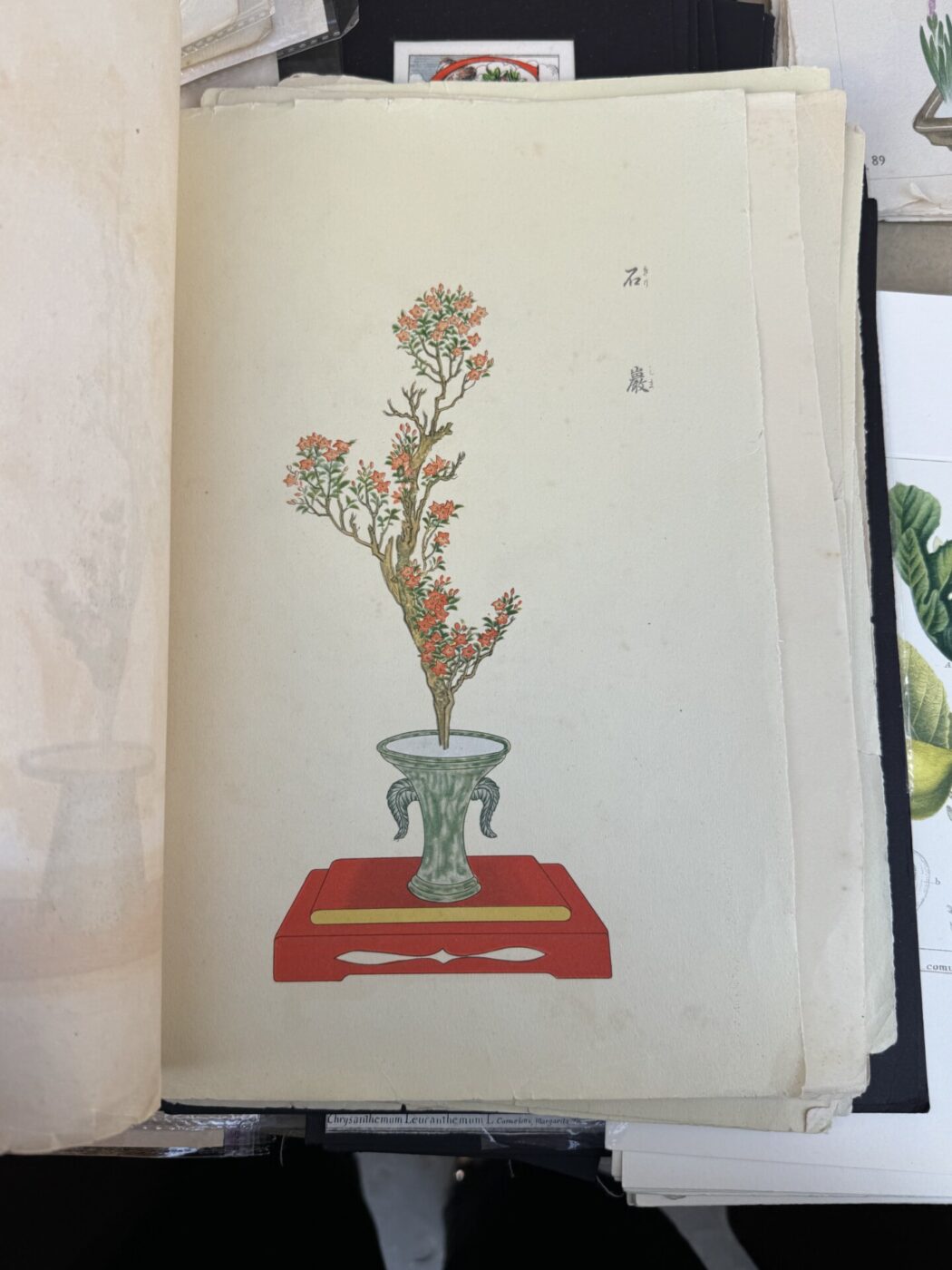 prints at a Vintage Market Tuscany