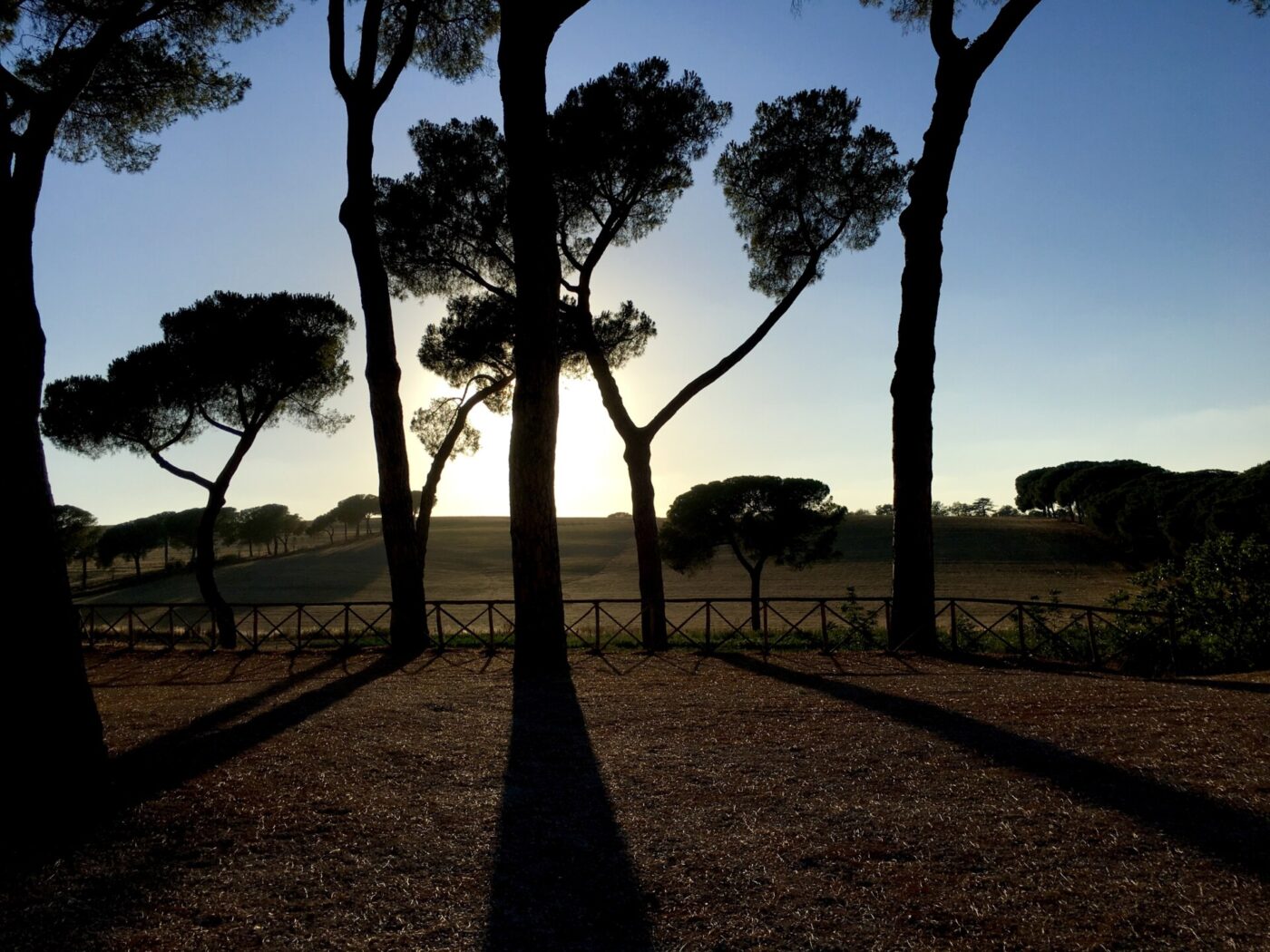 the sun behind the trees on the Via Francigena