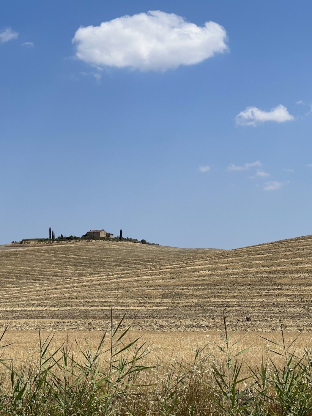 the countryside along the Via Francigena