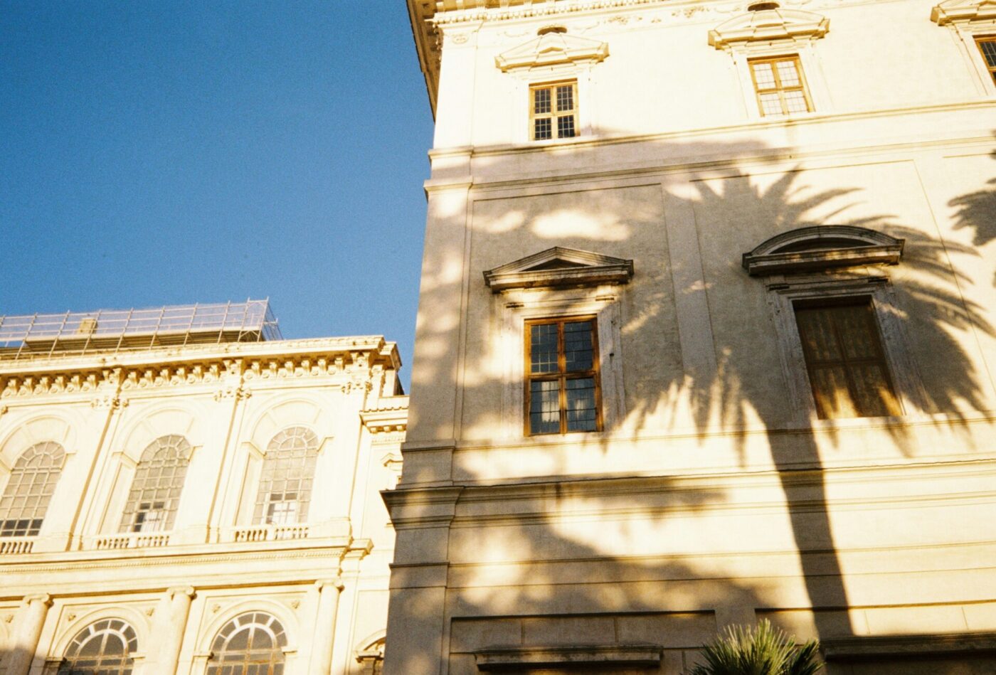 a photo of the shadow of a palm tree on a building in Rome