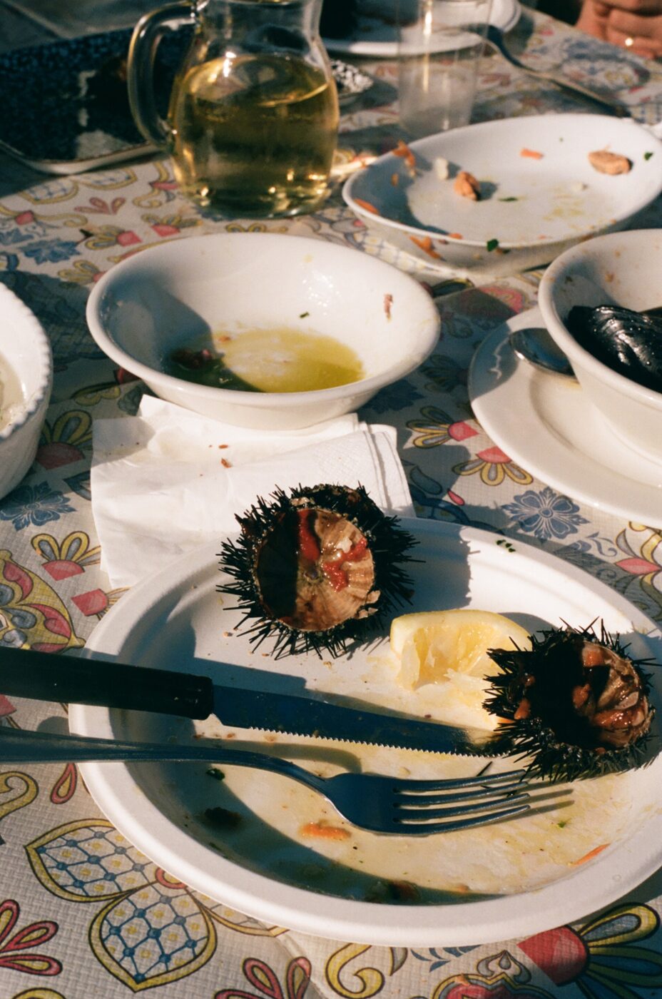 two sea urchins on a plastic plate with a lemon wedges