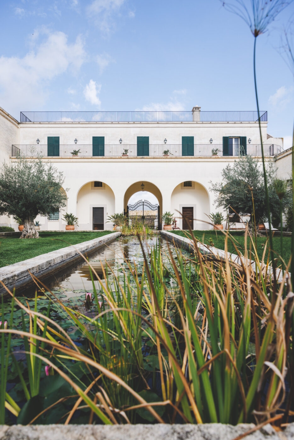 Tenuta Bocca Di Lupo estate
