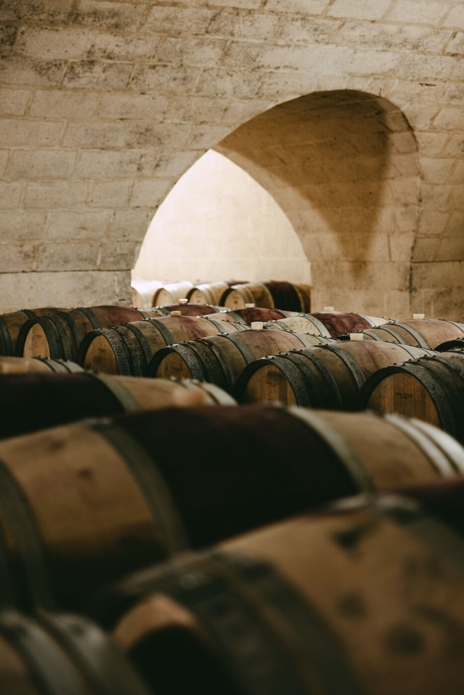 a room full of barrels aging wine at Tenuta Bocca di Lupo