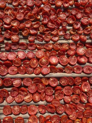 an overhead image of rows of tomatoes laid out to dry in the sun