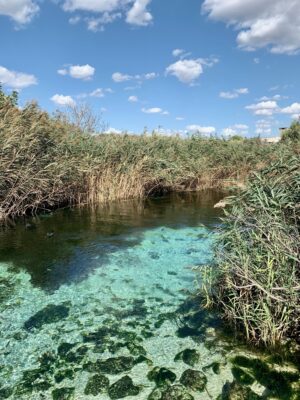 clear water with black rocks amidst grasses at the Riserva Naturale della Foce del Fiume Chidro