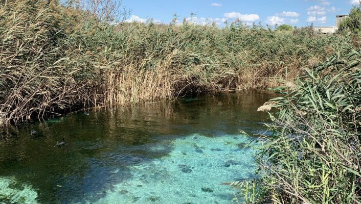 clear water with black rocks amidst grasses at the Riserva Naturale della Foce del Fiume Chidro
