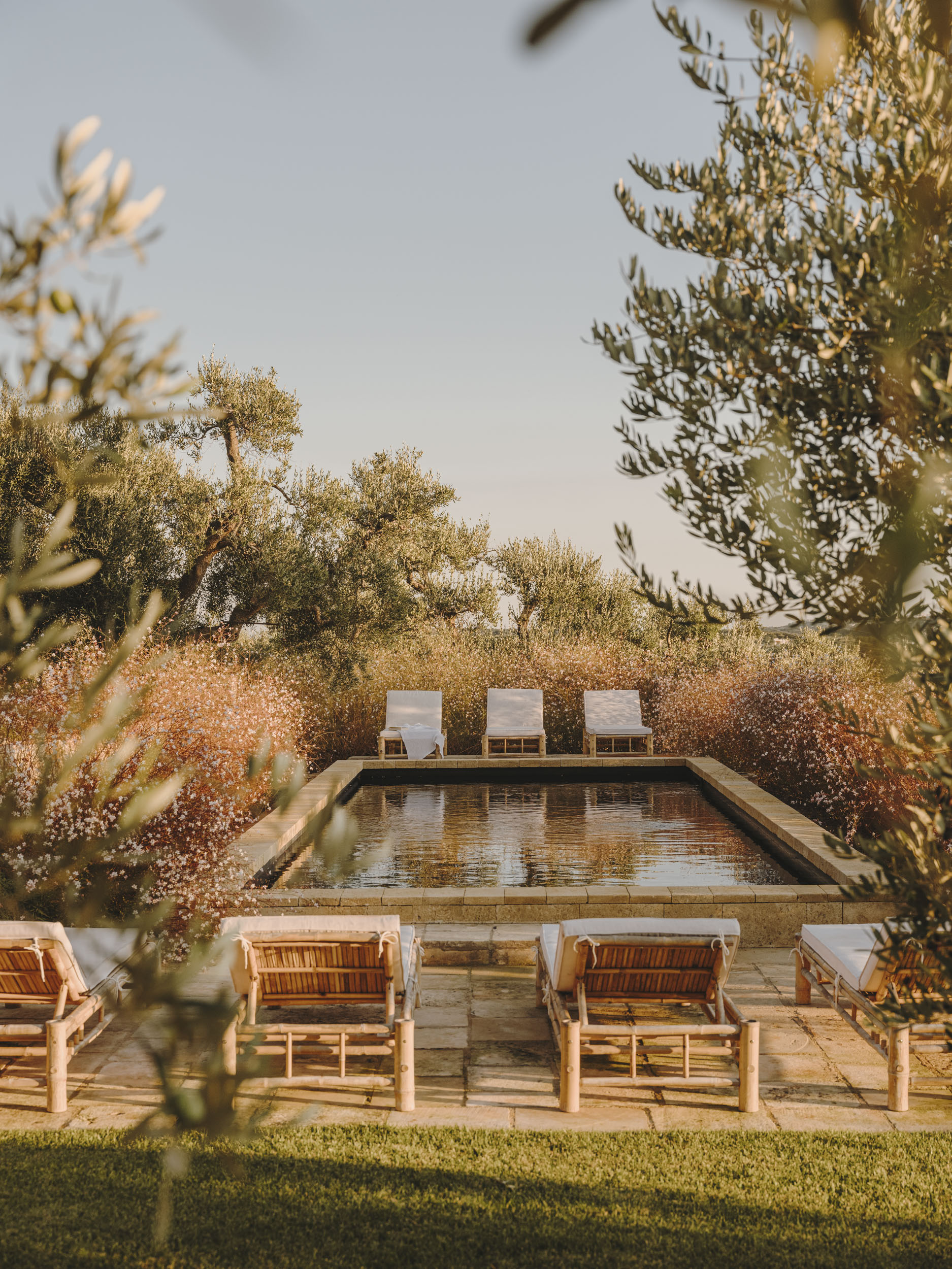an image of the large pool at Casa Olivetta surrounded by olive trees and by white-cushioned lounge chairs