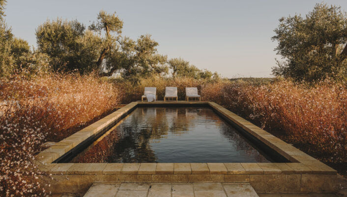 an image of the pool at Casa Olivetta at golden hour with dainty white flowers on bushes around