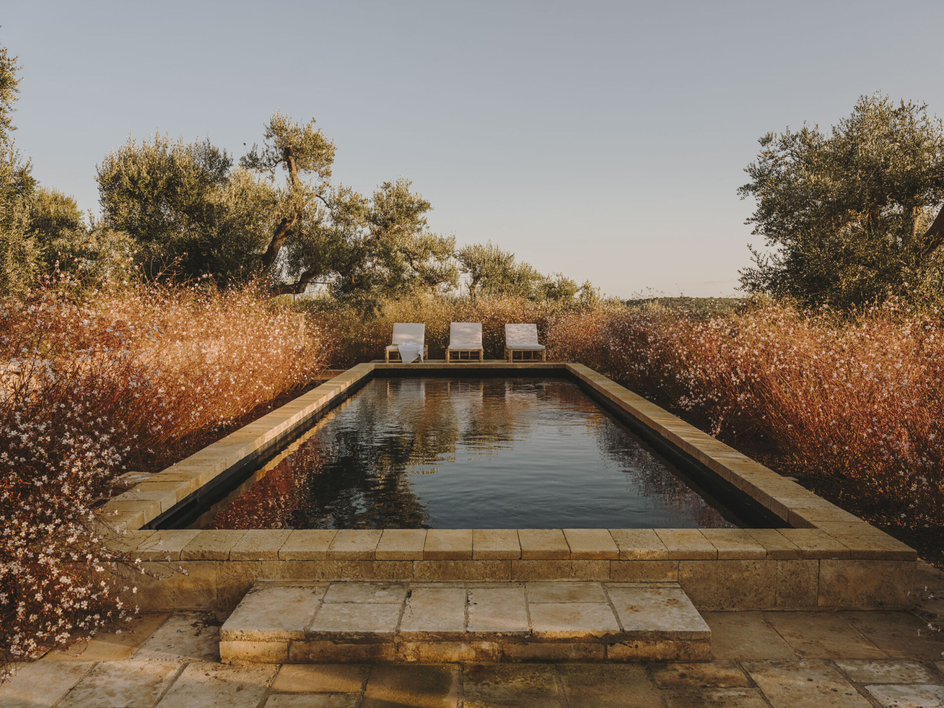 an image of the pool at Casa Olivetta at golden hour with dainty white flowers on bushes around