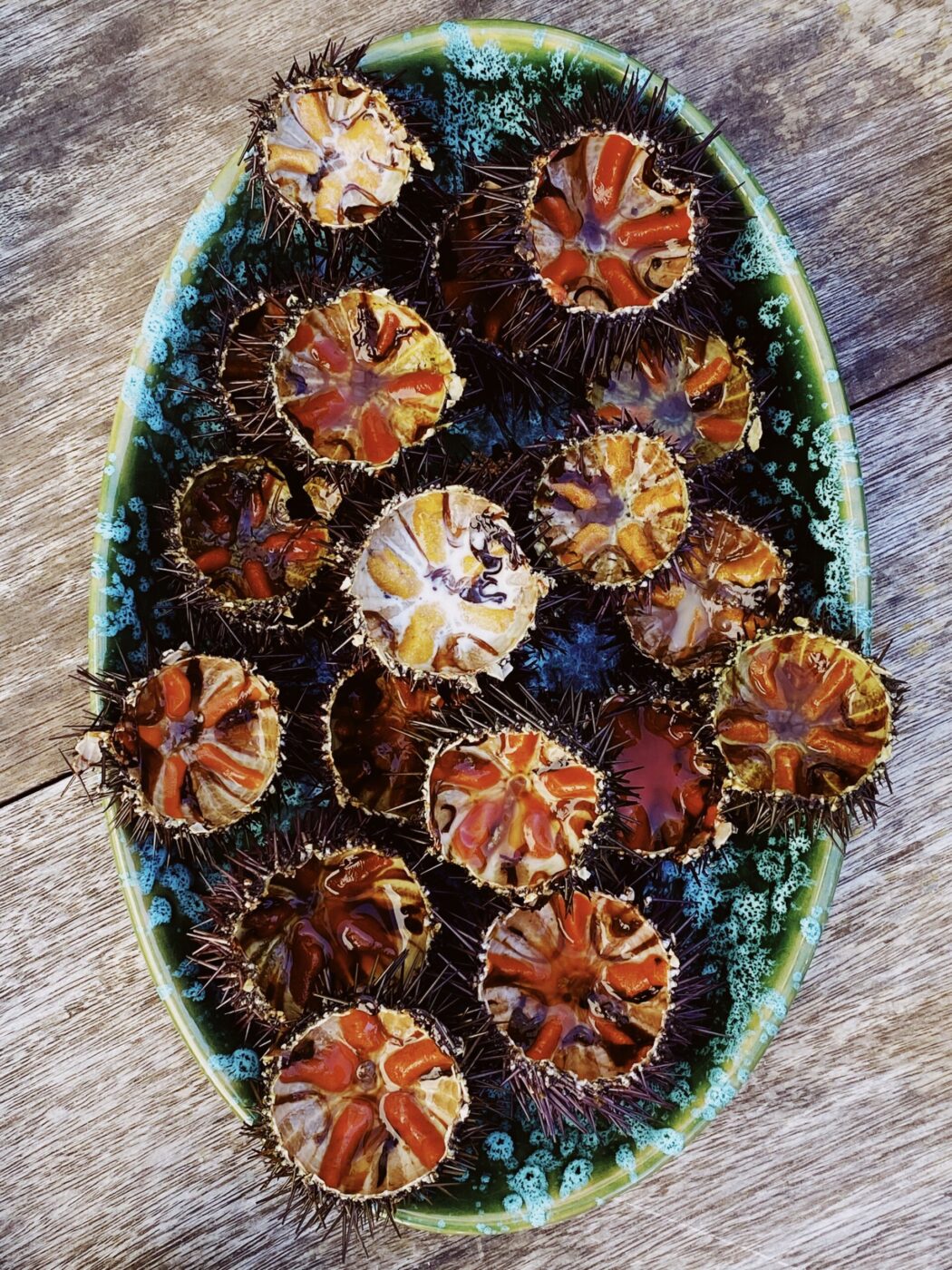an overhead image of an oval teal platter filled with sea urchins