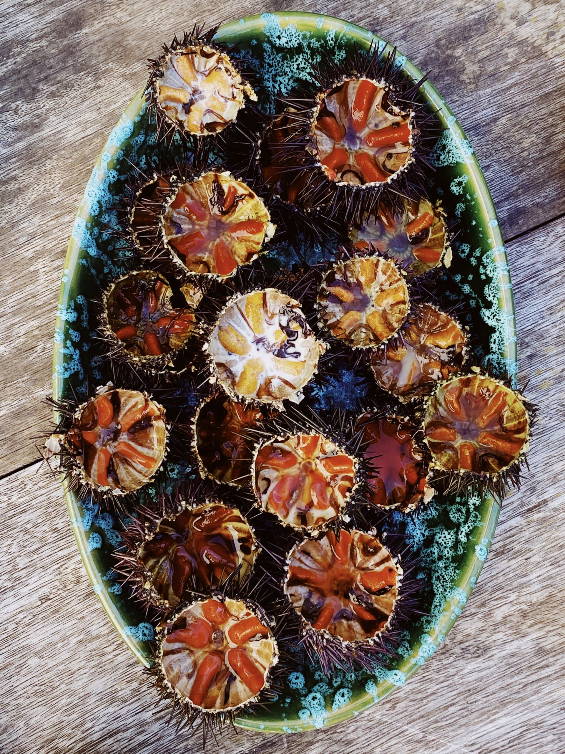an overhead image of an oval teal platter filled with sea urchins