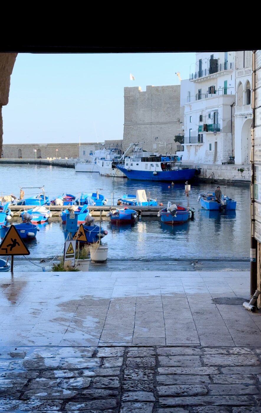 the small harbor of the white town of monopoli filled with bright blue small fishing boats