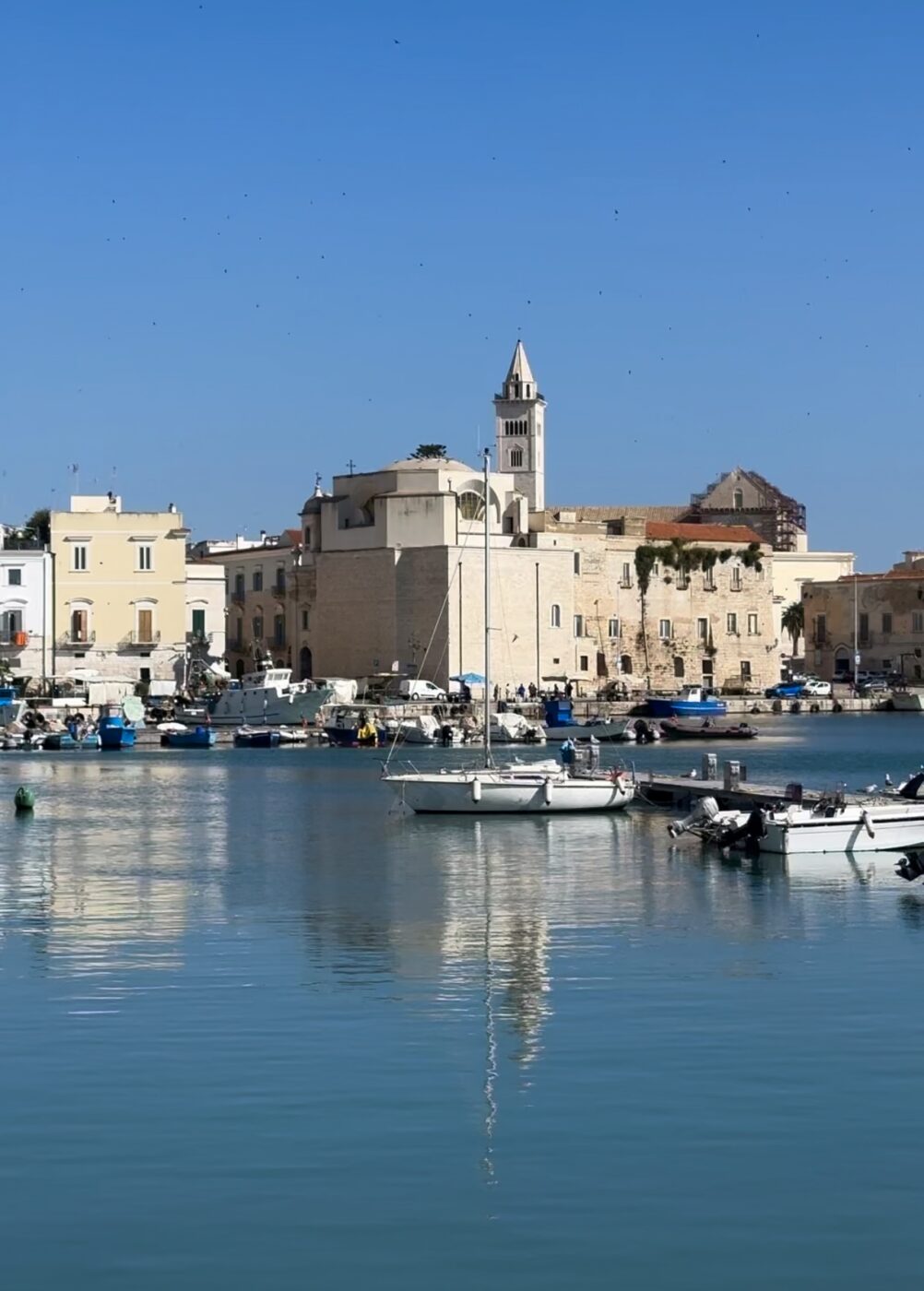 the town of Trani as photographed from the water