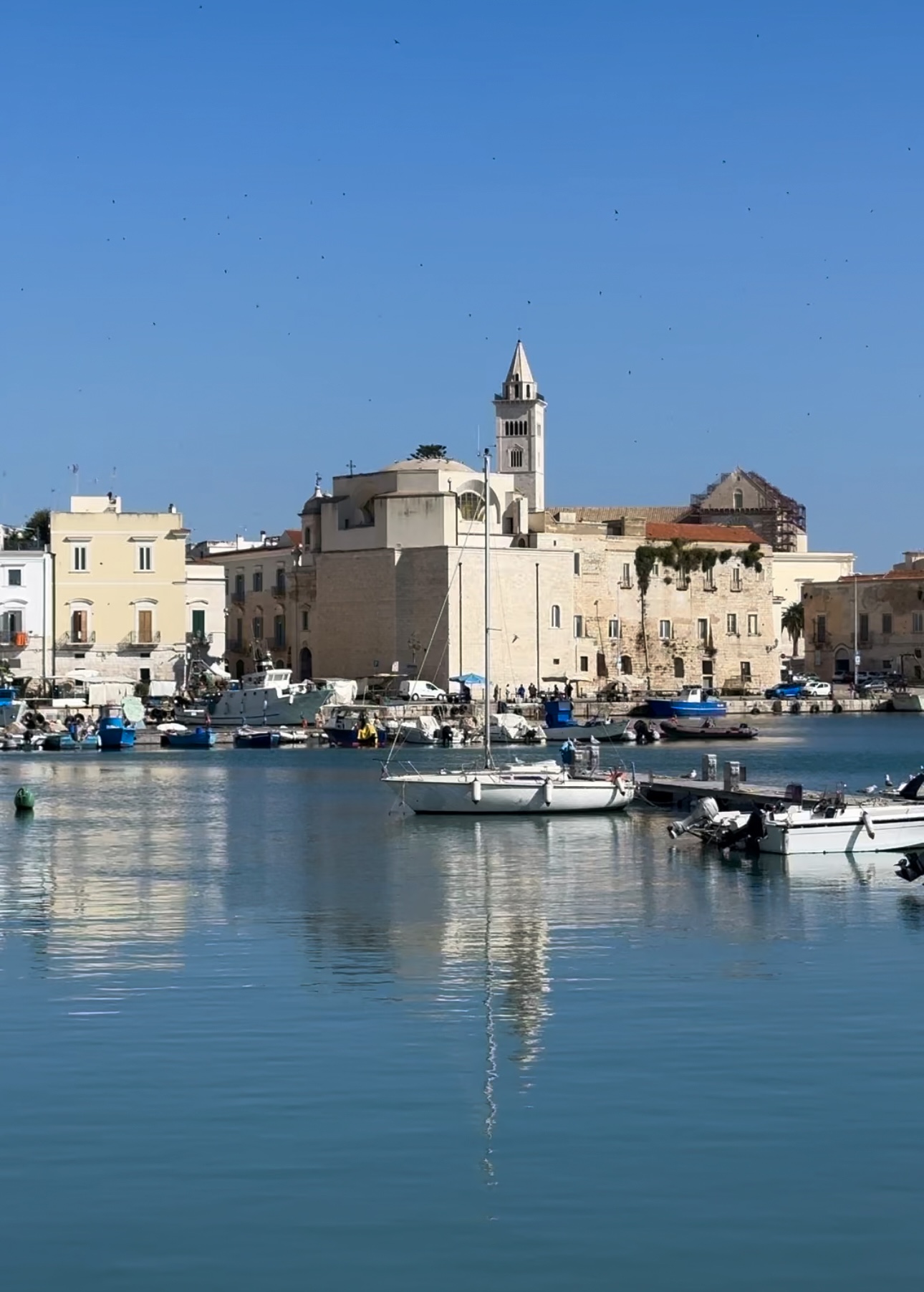 the town of Trani as photographed from the water