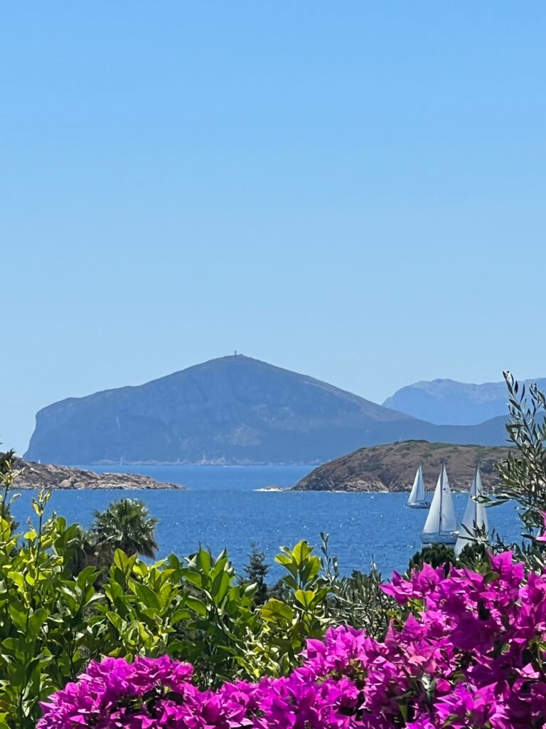 an image of the blue sea off the coast of Sardinia with purple flowers in the background and sailboats in the water