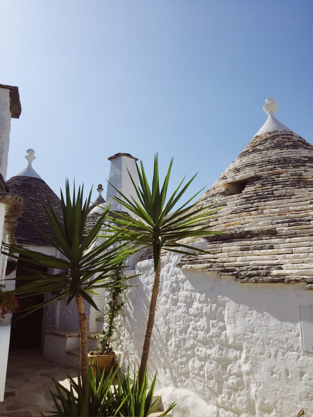 three conjoined trulli houses in puglia with their rocky roofs