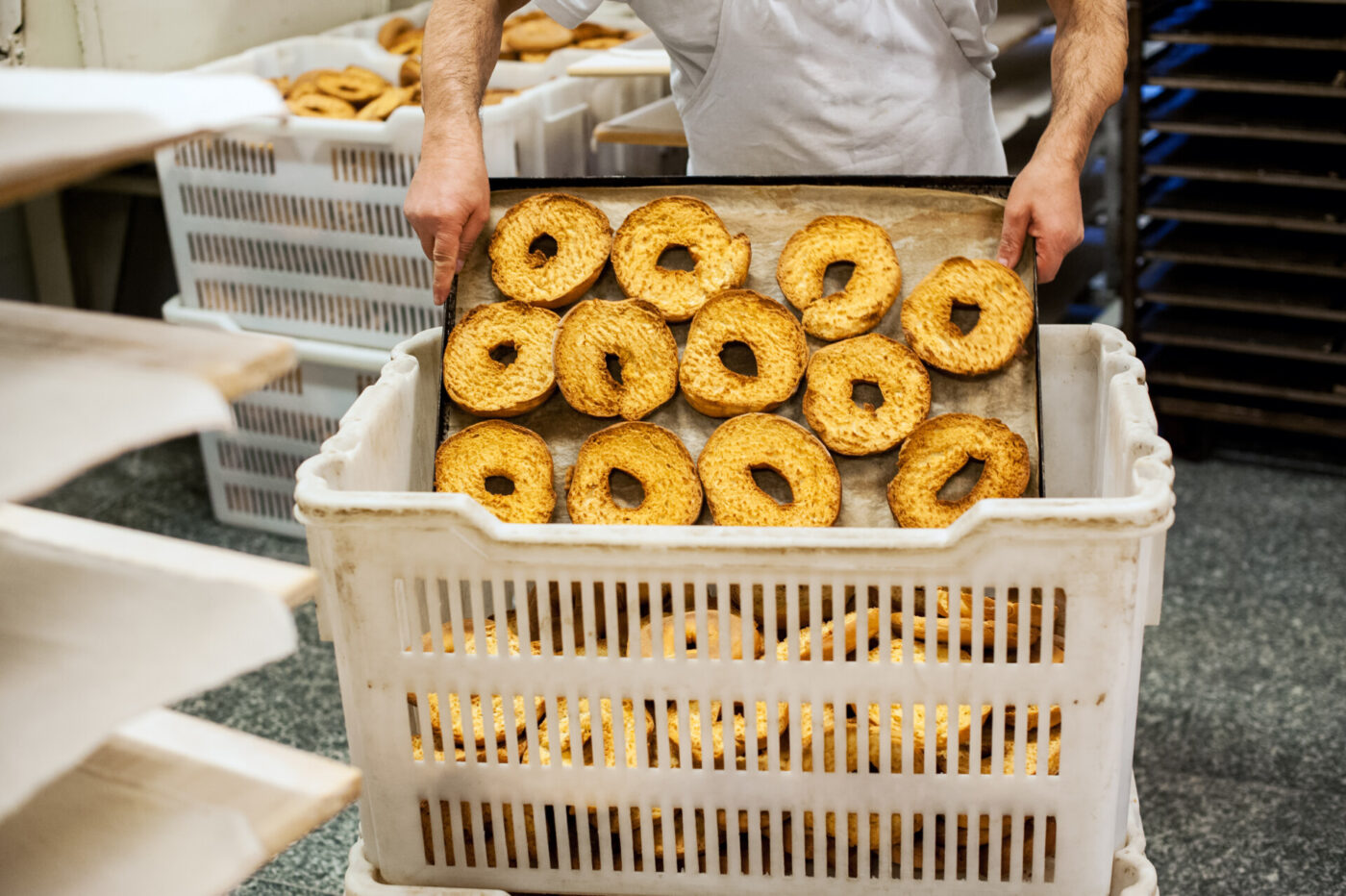Man putting fresh baked frisella donuts into white plastic container basket in Italian bakery