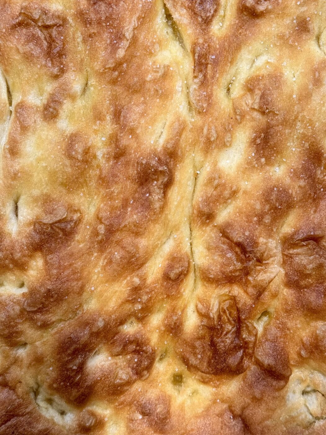 a close up image of schiacciata